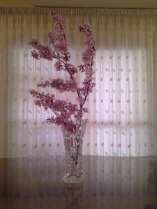 20160312_143015