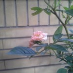 20160428_175320